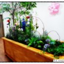 속초중앙교회 이미지