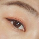 조은잉크토너 | 10월 지른 화장품 +화장품 수다 아임미미스모키앰버, 쿨톤블러셔들, 경주여행파우치, 피치씨팔레트...