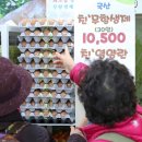 황금알계란 이미지