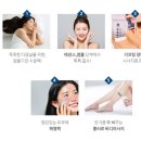 더플랜트 이미지