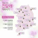 봄꽃헤어 이미지