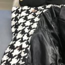 얼룩빼기이박사 이미지