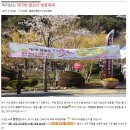 [2013 팔공산벚꽃축제]대구 지금 팔공산 벚꽃은 만개! 이미지