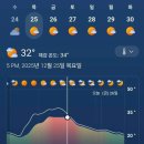 그린월드 이미지