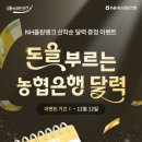 은행나무시장 3 이미지