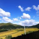 박달림3 이미지