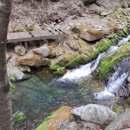 도원펜션 이미지