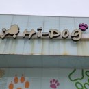 하이도그 이미지