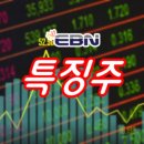 디에스푸드(주)