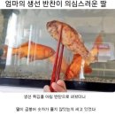 18  엄마 반찬 이미지