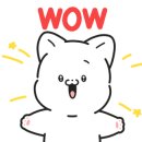 하나여행사주 이미지