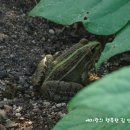 예지 농장 이미지