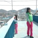 순천이수중학교 이미지