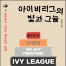 그늘과 빛의 기억  이미지