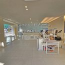 대형견 이발소 | 선유도 애견미용 급할 때 딱인 당일예약 후기