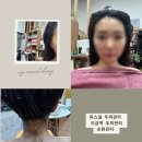 마천로15길 | 오금동 두피관리 체험기 두피열·각질 고민 한 번에 해결