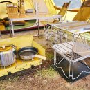 비체올린 이미지