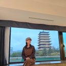 케이호텔 | 경주 호텔 추천 더케이호텔 펫프랜들리 디럭스룸 이용 후기