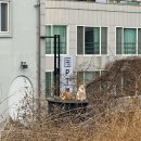 갓생 호소인의 운동 후기 : 피티앤바레 여수점 ㅣ 바레는 미친 운동 (여수바레,바레운동,여수피티,여수...