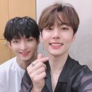 주호