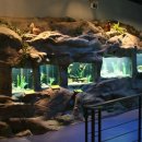 환경생태관 이미지