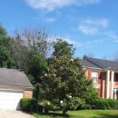 조이네집 이미지