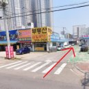 에이스 자동차 종합 이미지