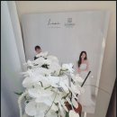 선우 소프트 이미지