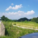 키다리부동산공인중개사사무소 이미지