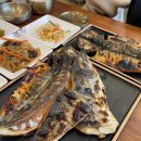 북극해고등어 - 용인시 처인구 | 북극해고등어
