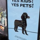 윤서울성수 | 성수 서울숲 카페 꼬모윤 느좋 디저트 천국