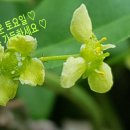 즐거운 이미지