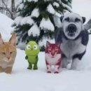 하오하오 이미지