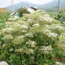 매봉산3길 이미지