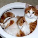 항도외과의원 이미지