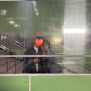 먹꼬보자