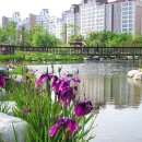 율하체육공원 생태연못 이미지