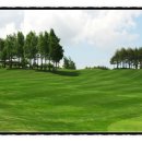 용평리조트 대중골프장 이미지