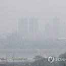 먼지연구소 이미지