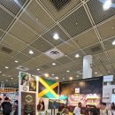 2024 서울카페쇼 국내최대 커피박람회 방문후기