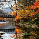 올바른부동산공인중개사사무소 이미지