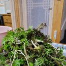 제비봉펜션 이미지