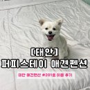 스테이반시 이미지