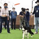 펫 월드 이미지