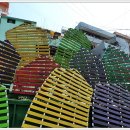 꿈틀거리는 마을 이미지