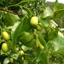 구암3리 이미지