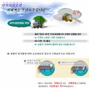 ▶▶▶회원님들 그냥 참고만 하세요 (웹서핑중에 있길래) 이미지