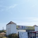 초원이용원 | 제주 한달살기:뚜벅이:혼자 20 (10월)
