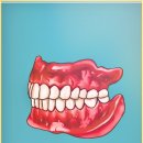 시온치과기공소 이미지