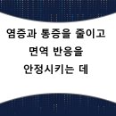 뿌리큰한의원 네이버블로그